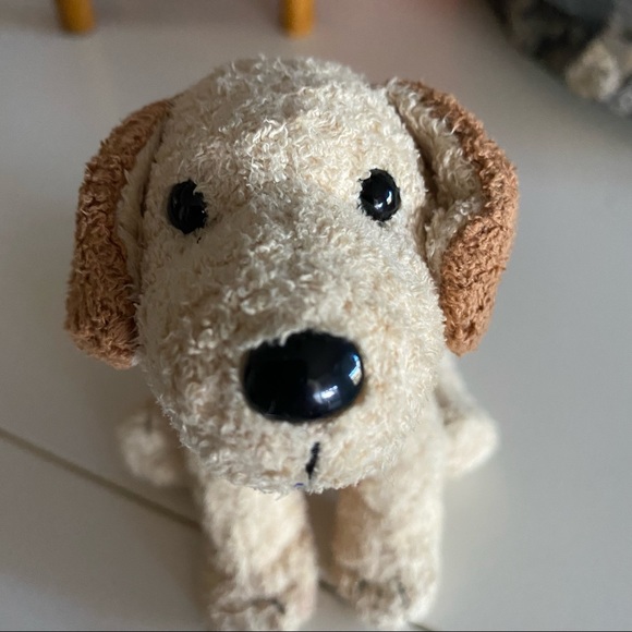 Rufus Welsh Terrier Dog 2000 Ty Beanie Baby Retired - Picture 12 of 13